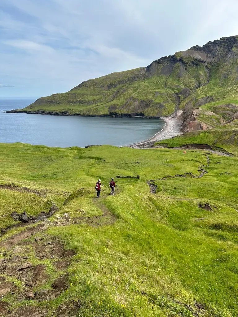 Hikers on a green coastal trail above a sandy bay