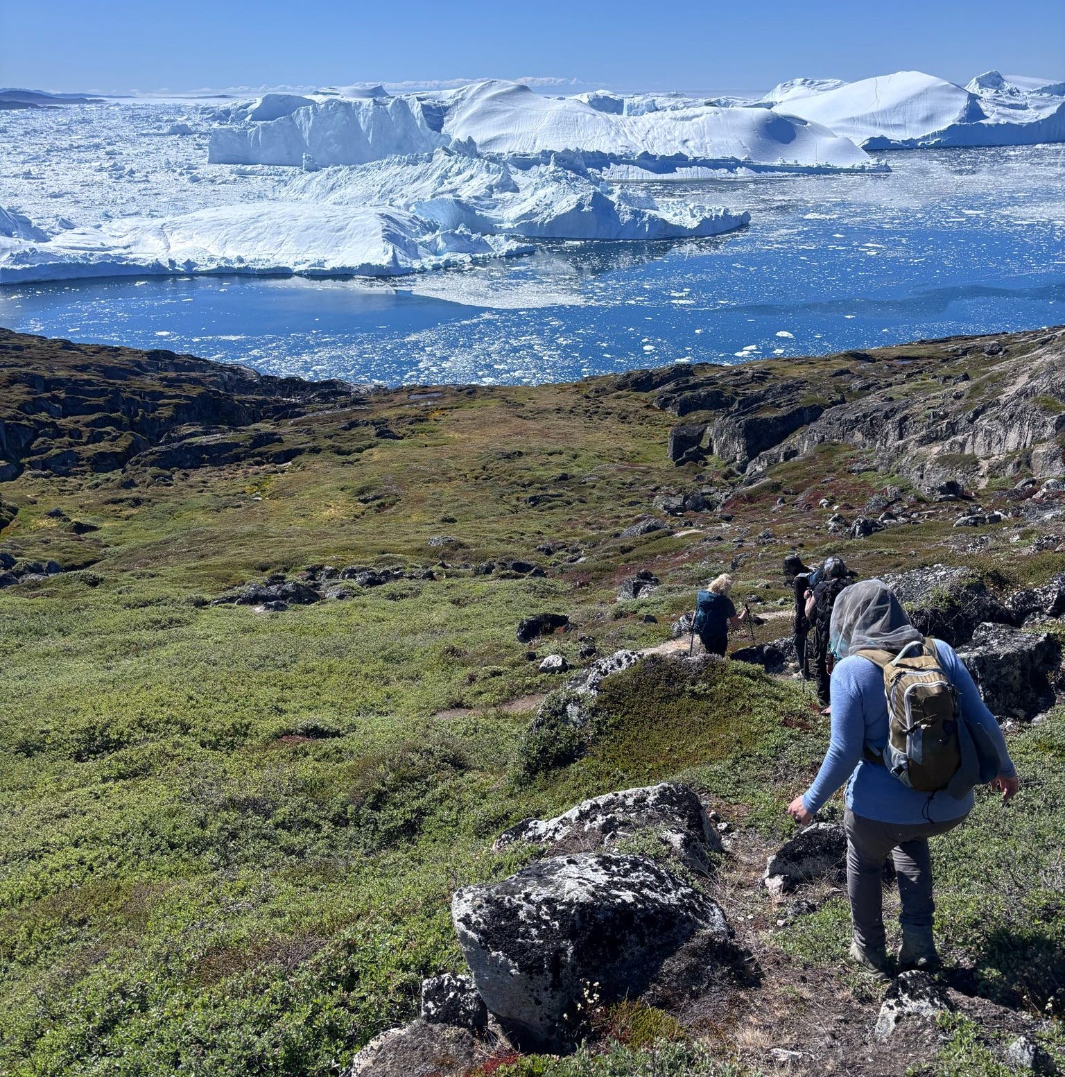 Hikers on a rocky trail above an icefjord