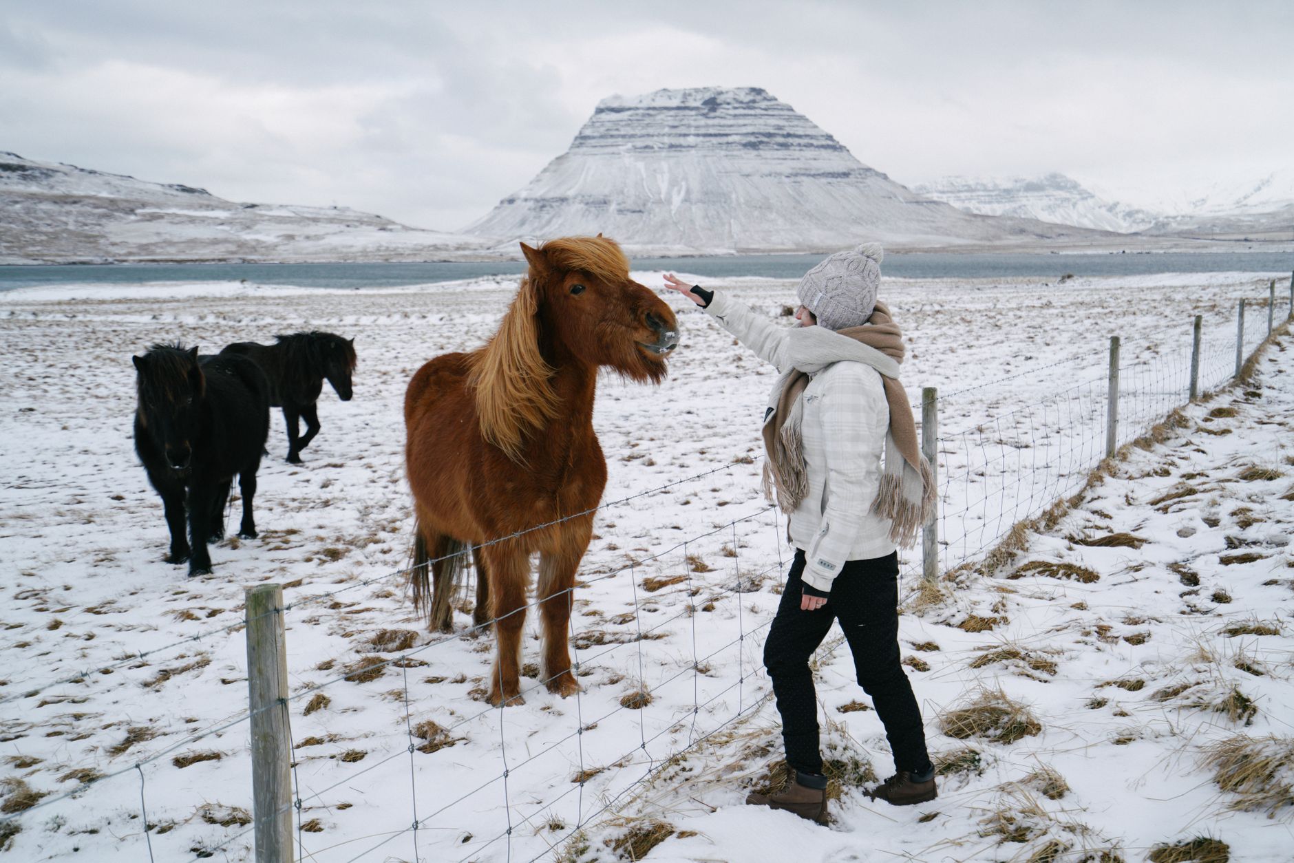 a person in a winter clothing petting a pony