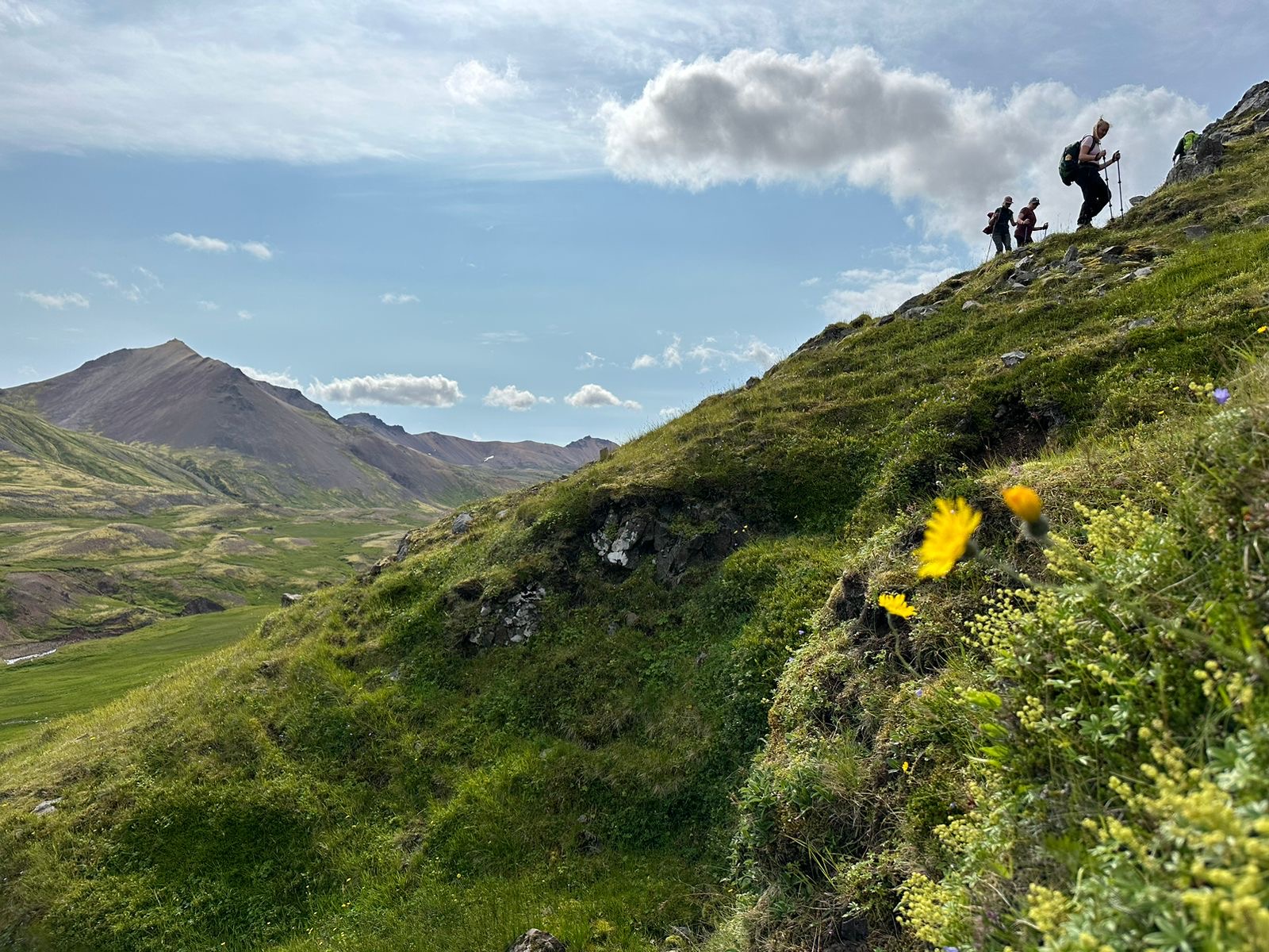 Hikers climbing a steep green slope